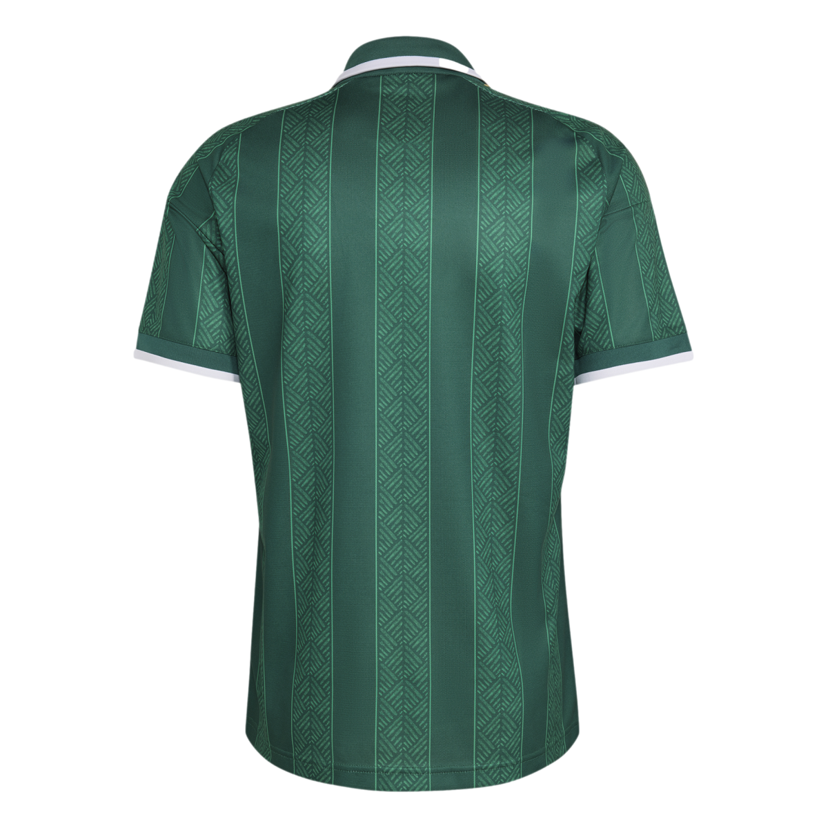 Adidas South Africa 2026 Away Jersey