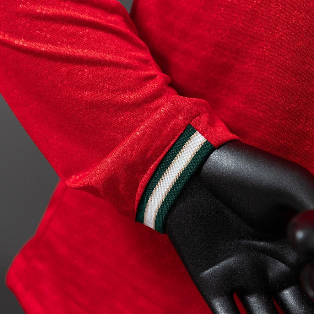 Portugal Jersey 2025/26 Home Football Kit Long Sleeves Player Version
