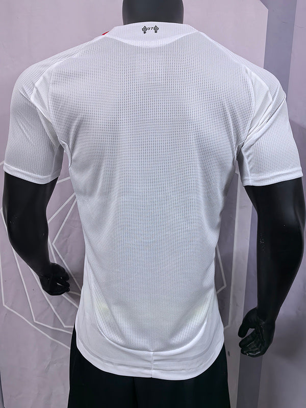 Liverpool Jugador Camiseta Visitante 2025